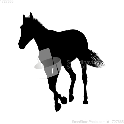 Image of Horse Silhouette