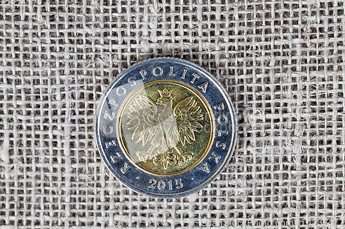 Image of one Polish coin