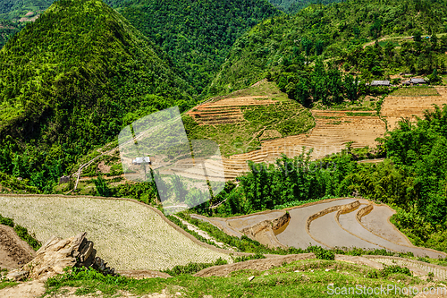 Image of Rice field terraces. Near Sapa, Vietnam