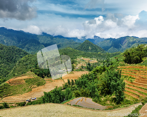 Image of Rice field terraces. Near Sapa, Vietnam