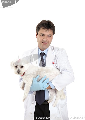 Image of Vet carries a dog needing veterinary care