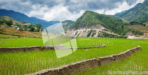 Image of Rice plantations. Vietnam