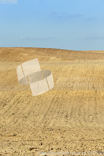 Image of arable land soil