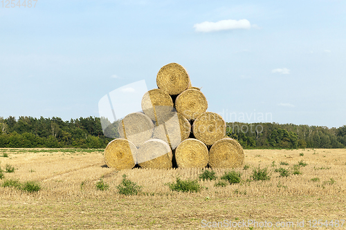 Image of cylindrical stack of straw