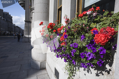 Image of Flowers and granite