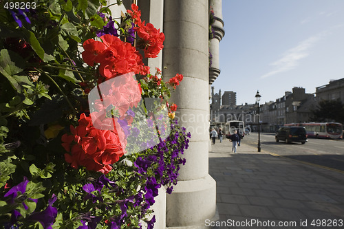 Image of Flowers and granite