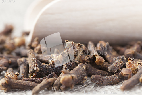 Image of dry spice