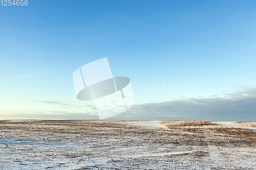 Image of snow-covered land in the field