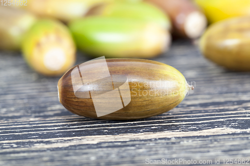 Image of oak nuts - acorns