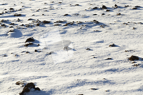 Image of snow-covered land