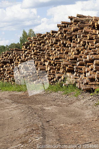 Image of pile of pine trunks