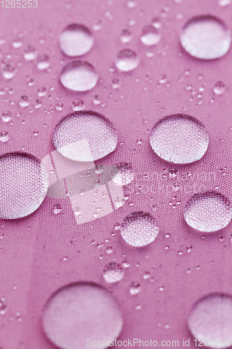 Image of water repellent umbrella