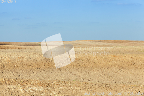 Image of arable land soil