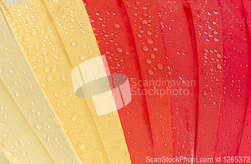 Image of colorful umbrella