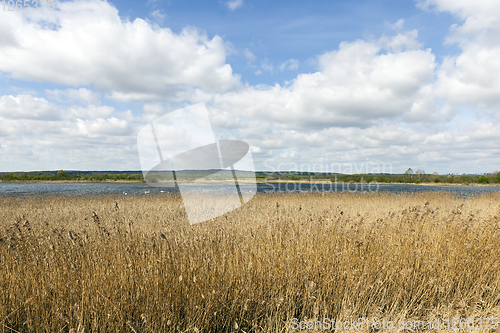 Image of nature spring lake