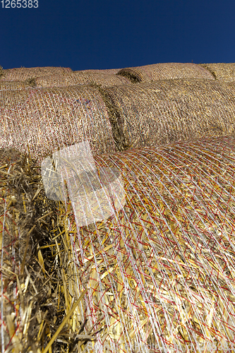 Image of stacks of golden fresh straw s