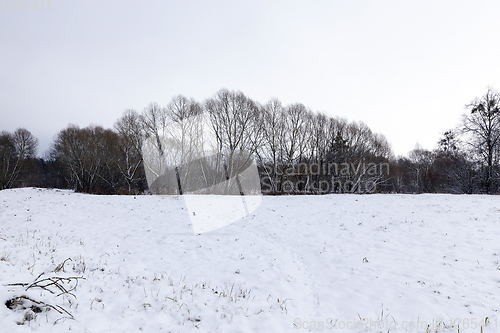 Image of Snow drifts in winter