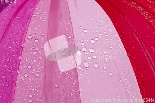 Image of colorful umbrella