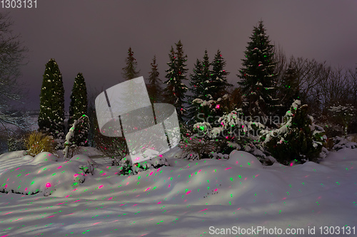 Image of night winter in garden