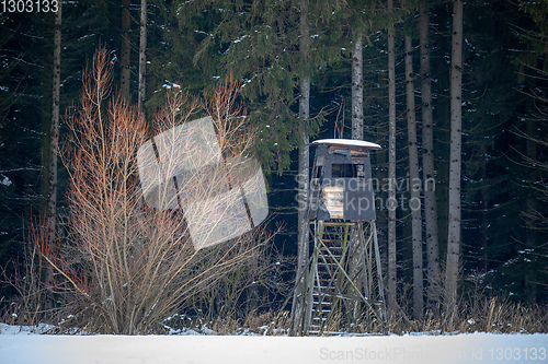 Image of Wooden hunting tower in forest