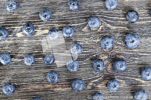 Image of ripe blueberries