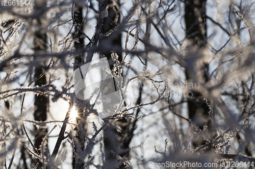 Image of Snow drifts in winter