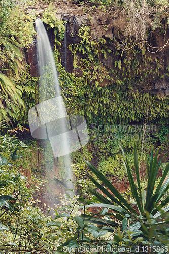 Image of waterfall in Amber mountain, Madagascar