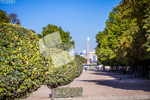 Image of Tuileries Garden, Obelisk and triumphal arch, Paris, France