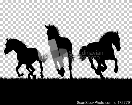 Image of Horse silhouette on Grass Background