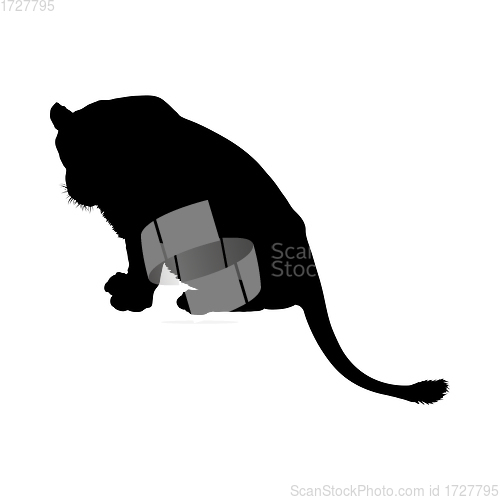 Image of Lion Silhouette