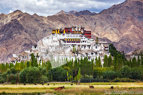 Image of Thiksey gompa, Ladakh, India