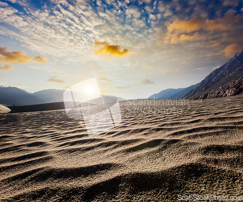 Image of Sand dunes. Nubra valley, Ladakh, India