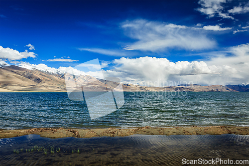 Image of Lake Tso Moriri, Ladakh