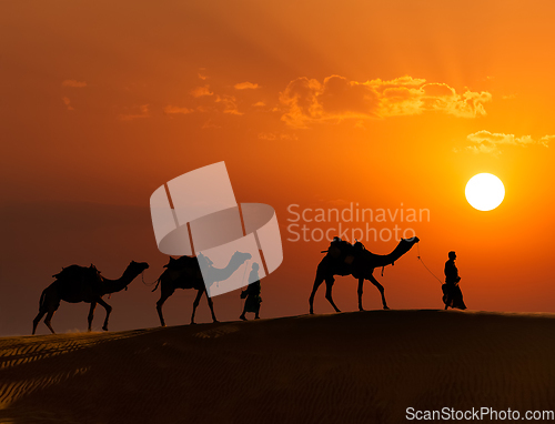 Image of Two cameleers (camel drivers) with camels in dunes of Thar deser