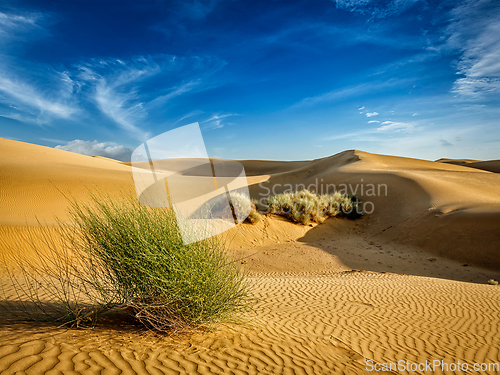 Image of Sand dunes in desert