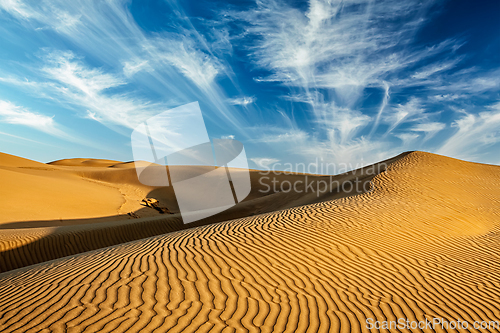 Image of Sand dunes in desert