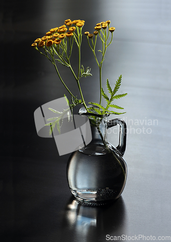 Image of Still life with tansy