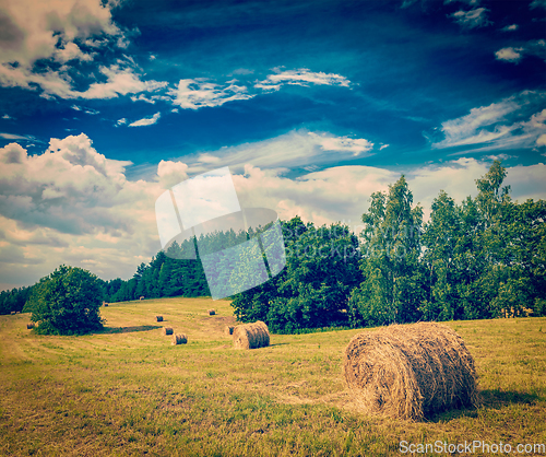 Image of Hay bales on field