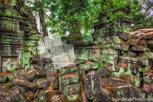 Image of Ancient ruins and tree roots, Ta Prohm temple, Angkor, Cambodia