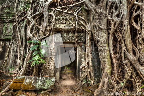 Image of Ancient stone door and tree roots, Ta Prohm temple, Angkor, Camb