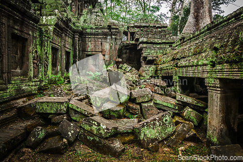 Image of Ancient ruins of Ta Prohm temple, Angkor, Cambodia