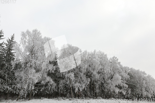 Image of Snow drifts in winter