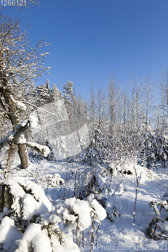 Image of Snow drifts in winter