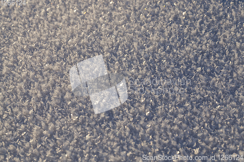 Image of Snow crystals winter