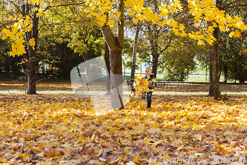 Image of a boy kicks foliage