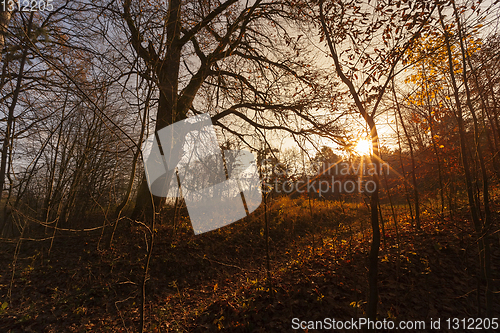 Image of glowing through the trees in the forest Orange sun, autumn season, sunset or sunrise, landscape