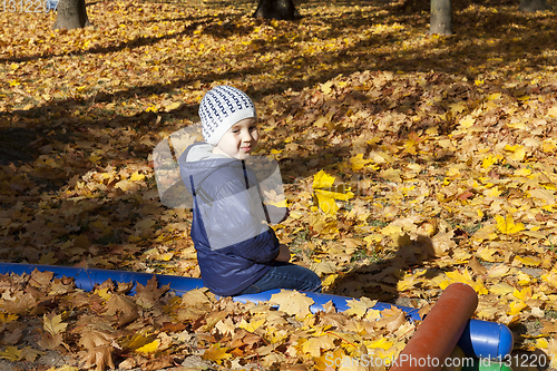 Image of sandbox foliage