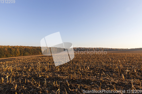 Image of agricultural field