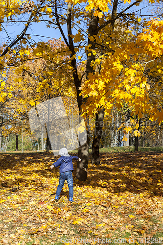 Image of boy foliage park fall