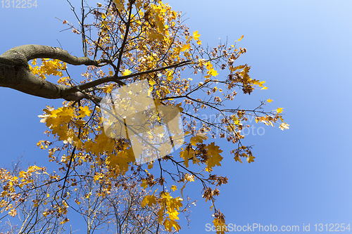 Image of autumn season